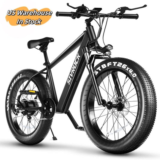 Professional Electric Bike for Adults