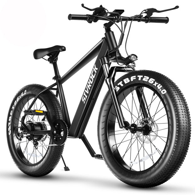 Professional Electric Bike for Adults
