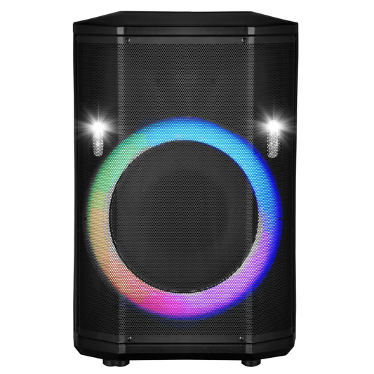 15" Portable BT Speaker