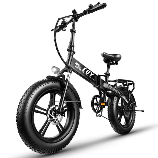 Electric Bike 750W Motor Samsung